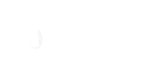 Logo Brocéliande Informatiques et Services